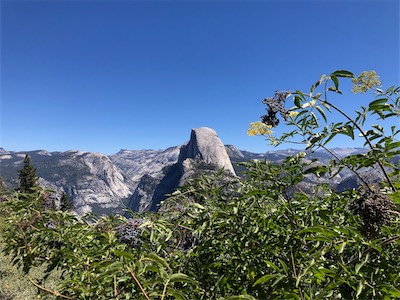 IMG_7969.jpg